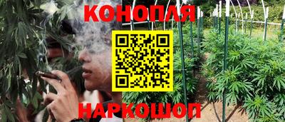 СК Коммунар